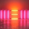 Paul McCartney, Nouvel album New