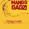 Mango Gadzi : la musique au-delà des frontières