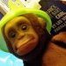 La Singette Missdinguette alias Franck dit Bart