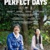 Critique de Perfect Days de Wim Wenders : un bijou de simplicité et de profondeur