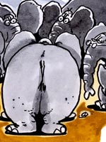 Ségolène Royal contre-attaque