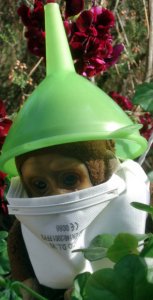 Quand est-ce qu'on pique le troupeau dévot ? 