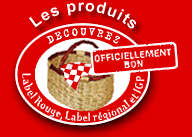 Rock n'roll for ever