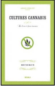 Interview de Bruno Blum auteur de "Cultures Cannabis"