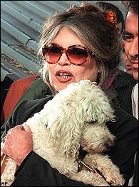 Boxe idéologique : Bardot met K.O. Fogiel à la télé