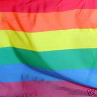 LE RAINBOW DANS LE COLIMATEUR DE SARKO