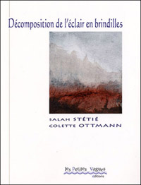 Décomposition de l'éclair en brindilles