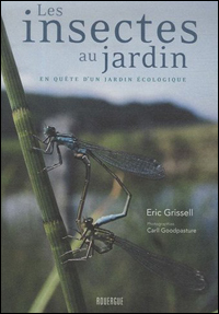 Les insectes au jardin