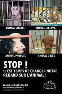 Pour la 1 ère fois, la Fondation Brigitte Bardot investit le petit écran 