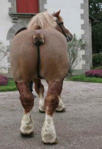 Les Actifs pourris des Banques passés par Pertes et Profits