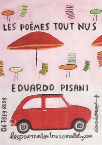 LES POÈMES TOUT NUS buzz littéraire 2015