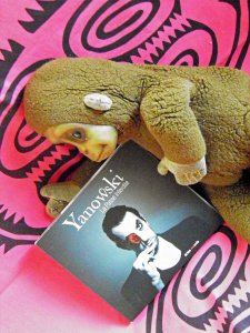 Yanowski : La Passe interdite » nous ouvre les frontières du théâtre musical !