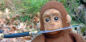 111 fleurs pour le Mague !