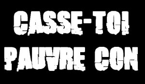 "Casse-toi pauvre con". Une série humoristique est née sur le Web inspirée des frasques langagières du Président