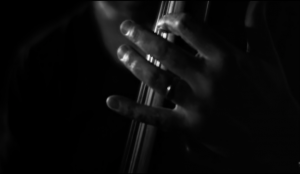 PROJECTION DE MINGUS ERECTUS D'AMAURY VOSLION