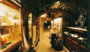 LE MUSEE DU VIN DE PARIS