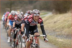 Le Ver est dans le Fruit