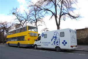 La « clinique mobile » de la Fondation Brigitte Bardot au service des sans abris et de leurs animaux