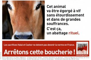 Dérives de l'égorgement à vif en France : Rejet de la plainte de Brigitte Bardot