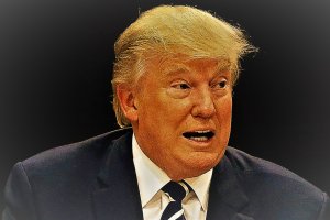 Donald Trump ne fait pas dans la dentelle