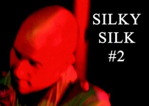 Une expérience unique de l'univers "tactilo-vocal" d'Yvon Bonenfant