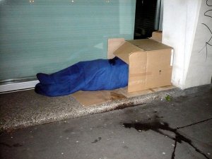 LA MAISON EN CARTON DE CHRISTINE BOUTIN