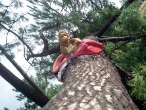 Vincent revient sur les suites de la tempête de janvier (interview)