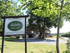 Le Balcon en Forêt des Ardennes