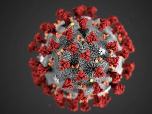 Coronavirus, Covid- 19 et responsabilités collectives et individuelles