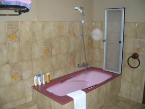 Révélation(s) sur la mort de Jim Morrisson et de Claude François