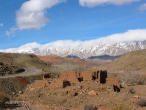 La Passion maudite - Nouvelle