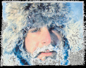 Nicolas Vanier, enfant des neiges et fils du Grand Nord