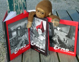 l'interview de Bruno Loth le dessinateur, l'éditeur de Libre d'Images et l'auteur d'Ermo 