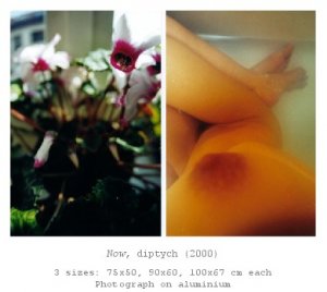 Sabine Delafon photographie avec un pinceau