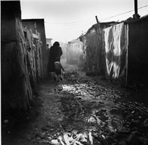 Migrations algériennes : Quel statut pour les femmes ?