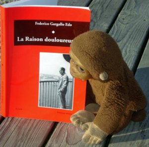 Plein phare sur une alternative libertaire à la crise sociale