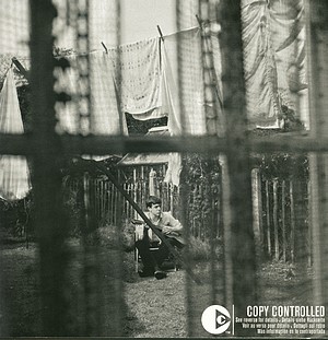 PAUL MC CARTNEY, Chaos And Création