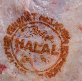 Formation au sacrifice rituel musulman pour… les pères de famille !