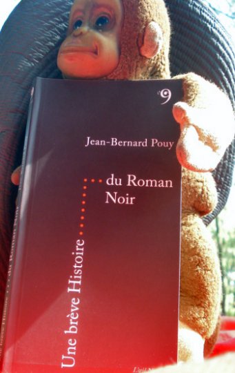Je t'en filerai du roman Noir !