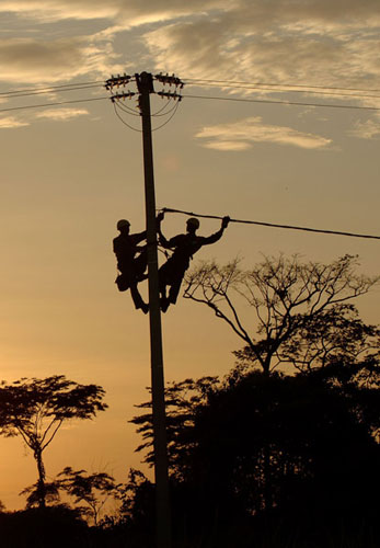 L'État du Réseau EdF en Question après les Chutes de Neige