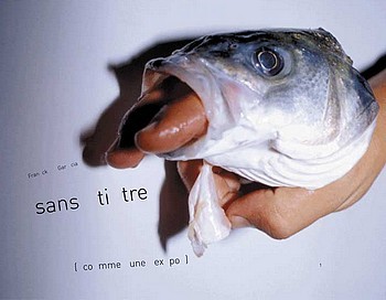 Franck Garcia, Comme une expo