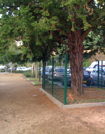 Prix Ubu 2009 pour un arbre emprisonné à Morlaix