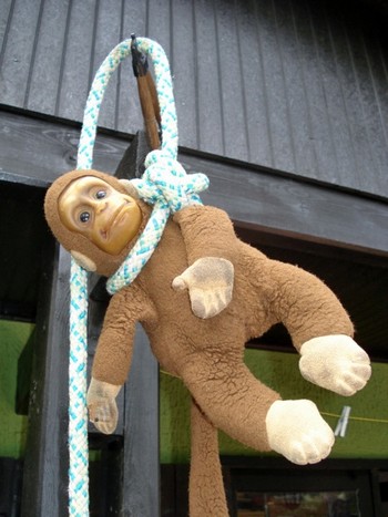 Y'en a marre de la haute trahison d' « Une pointe pour tous » à la botte de la FFN et je continue de gueuler : non au terminal méthanier