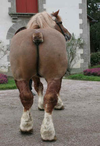 Les Actifs pourris des Banques passés par Pertes et Profits