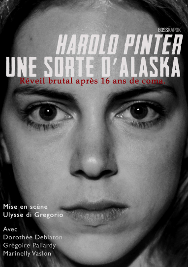 Une sorte d'Alaska