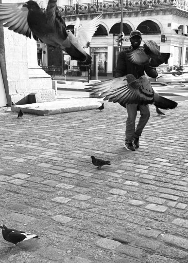 Les coulisses d'une photo : La robe en Pigeons