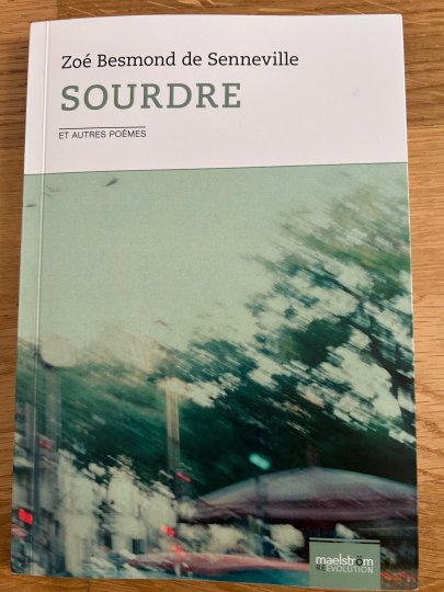 SOURDRE de Zoé Besmond de Senneville