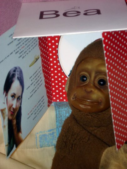 V.o. de Béa, un des meilleurs crû de Bordeaux !