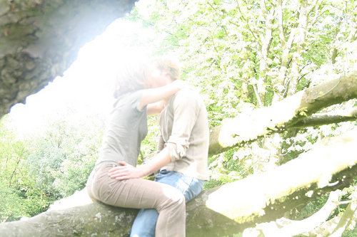 Un film sexy au secours des forêts