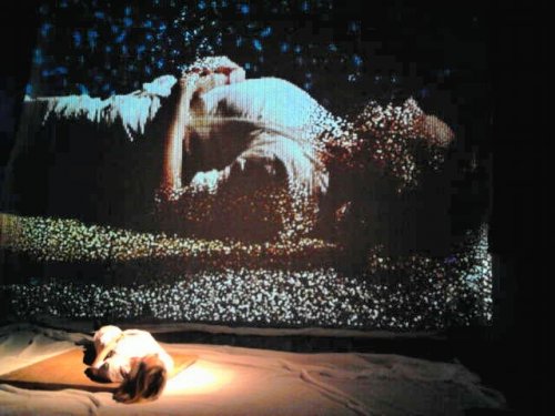 Portrait de Sabrina Marsili